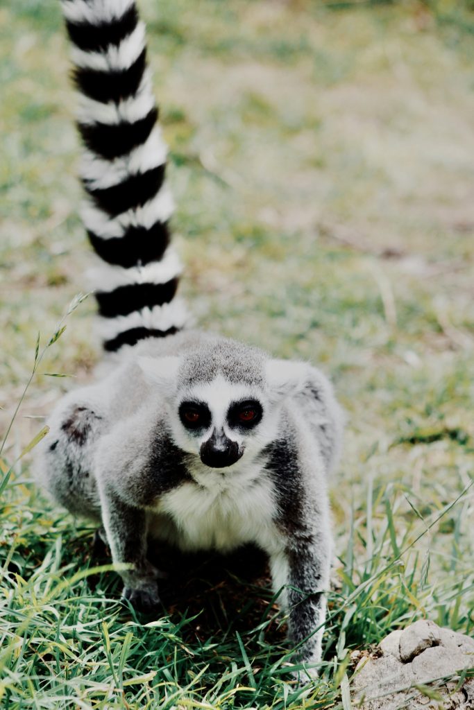 The Power of Long-Tail Keywords: Boosting Your SEO Strategy