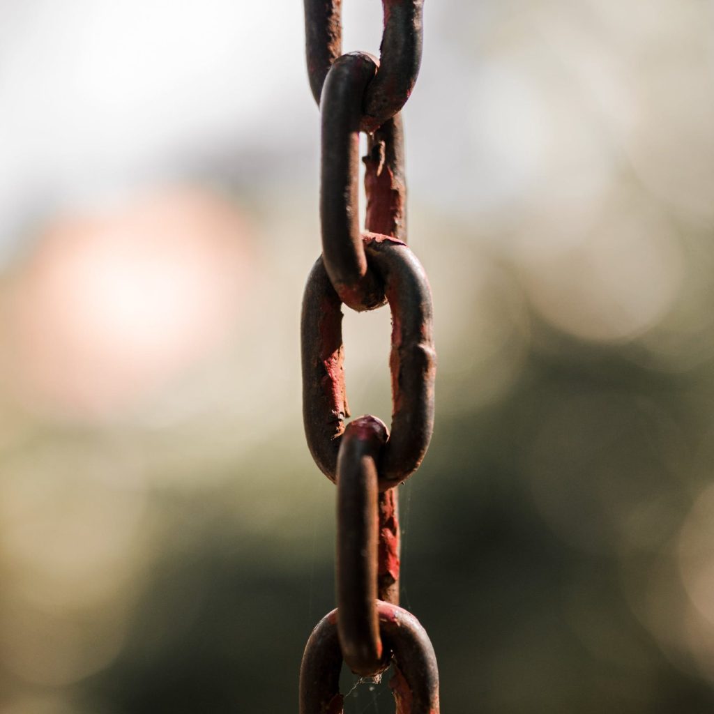 The Art of Link Building: Strategies for SEO Success