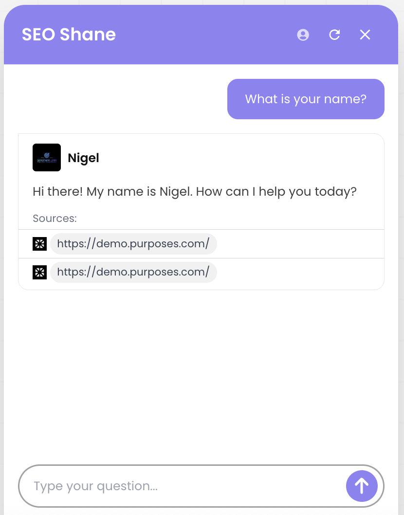 AI chatbot running on SEO Shane website